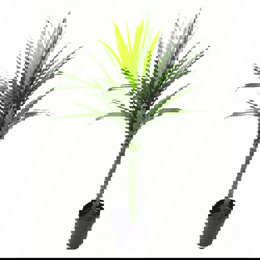 Realistic Artificial Yukka Plants