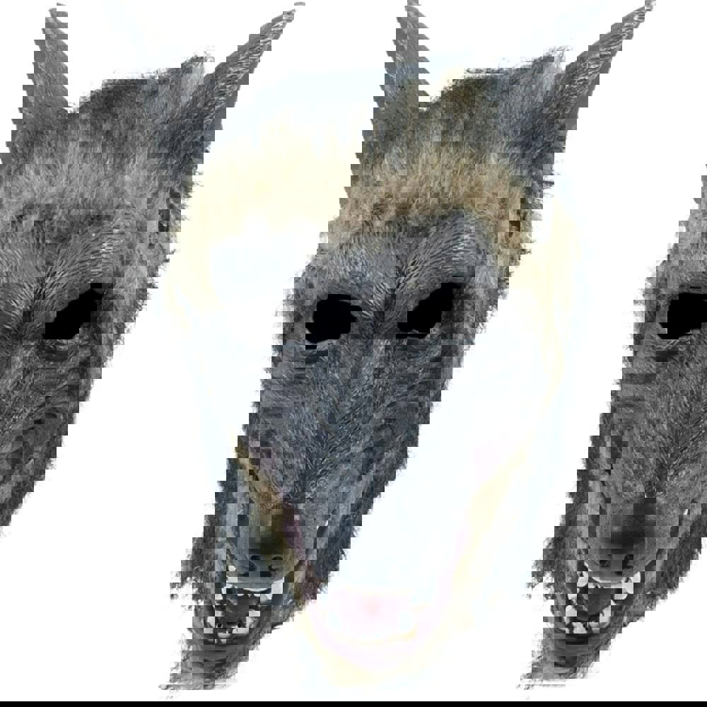 Bristol Novelty Unisex Adults Brindle Effect Wolf Mask - Multicoloured
