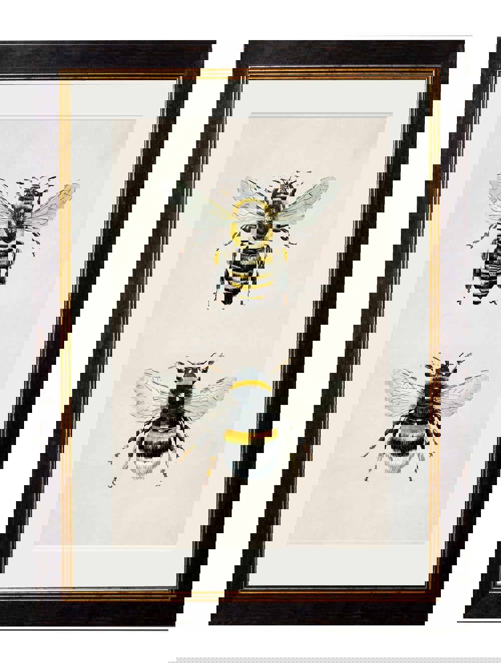 Exceptional Art Honey and Bumble Bee