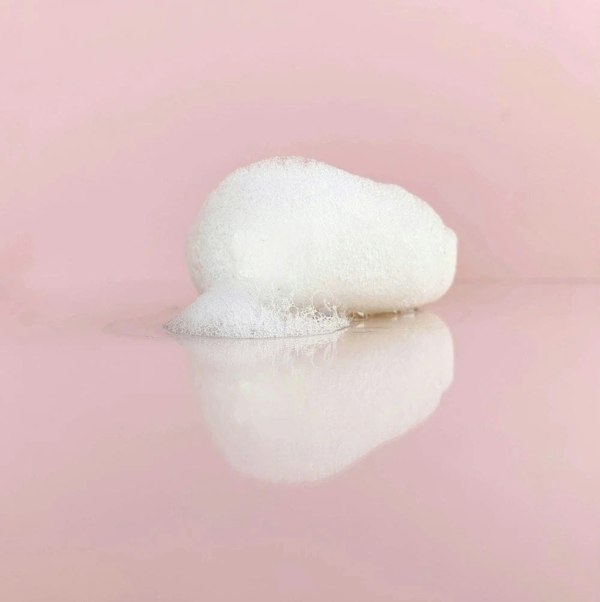 baie botanique konjac sponge