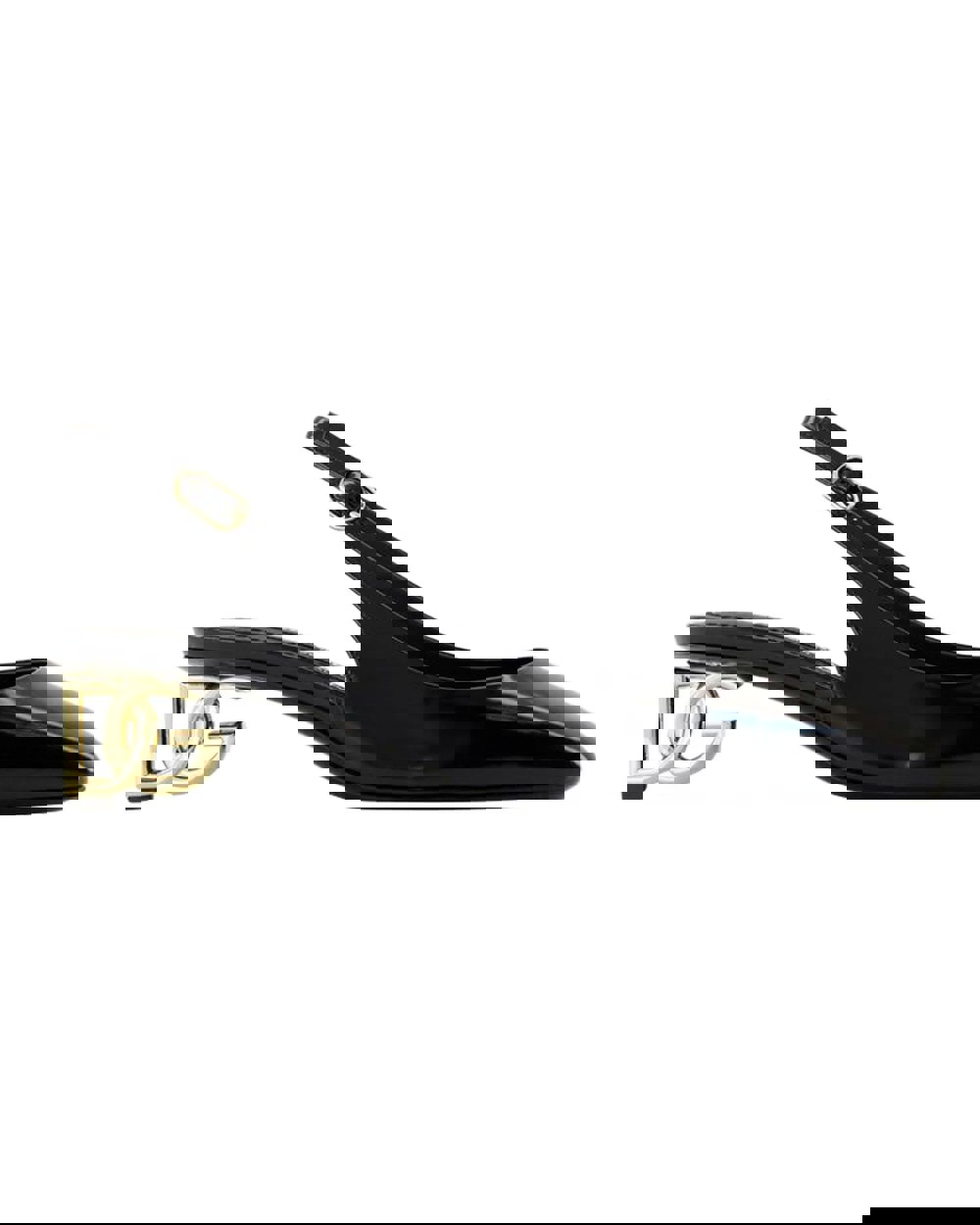 221447079.jpg