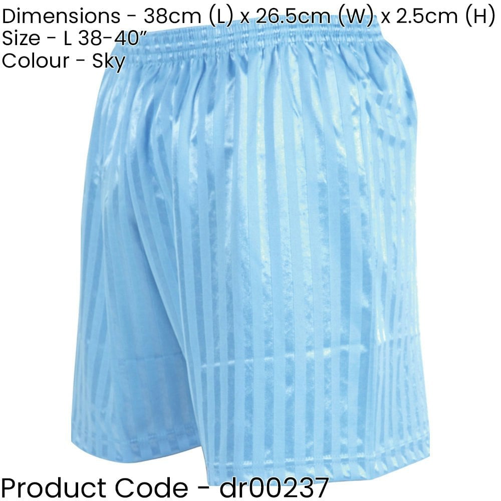 L - SKY BLUE Adult Sports Continental Stripe Training Shorts Bottoms - Football