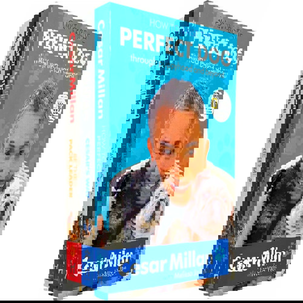 Cesar Millan 3 Book Set How to Raise the Perfect Dog, Cesars Way, Be the Pack Leader