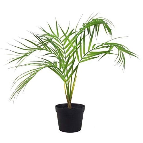 Leaf 50cm Leaf Design UK Realistic Large Artificial Foliage Plant with Pot