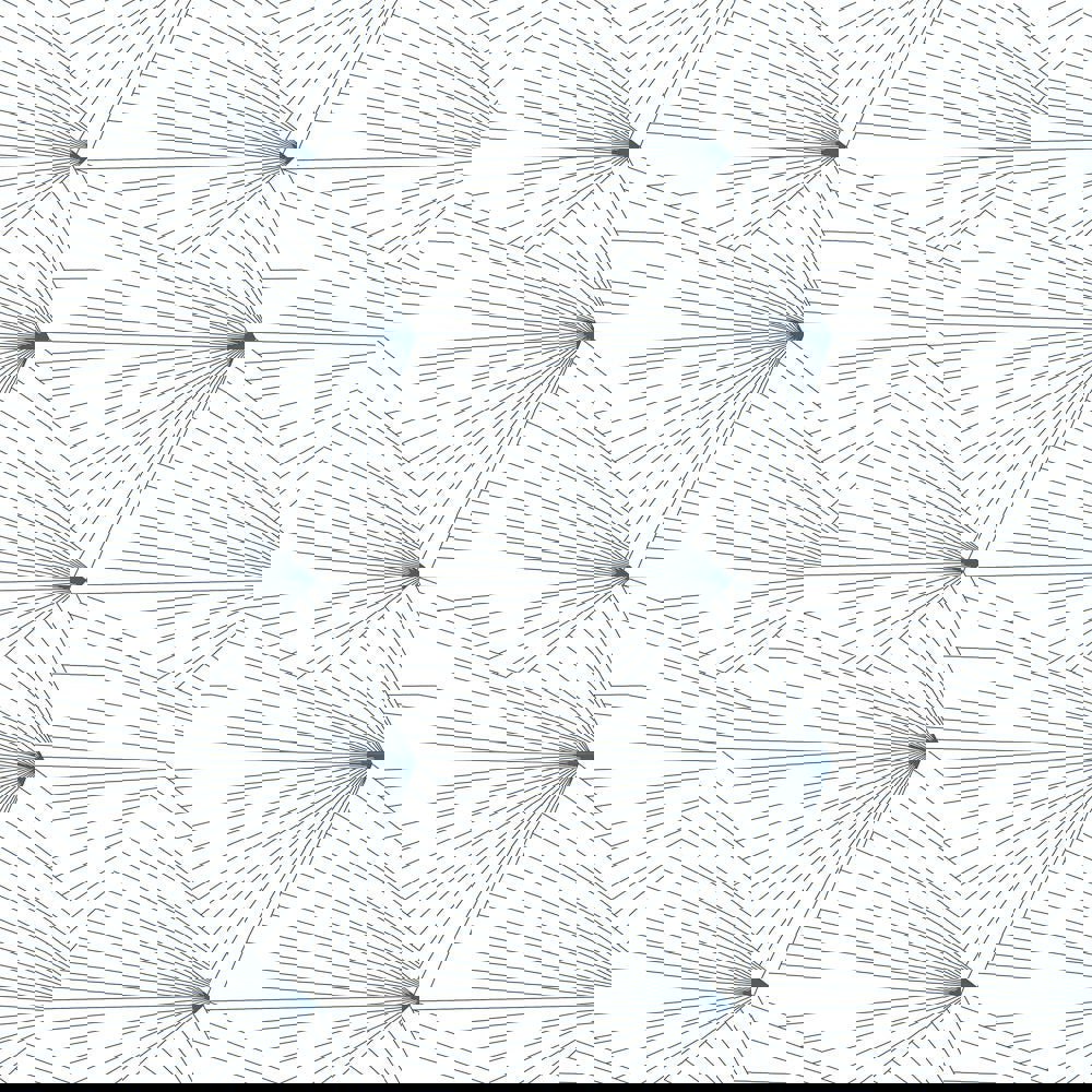 Fan navy / white