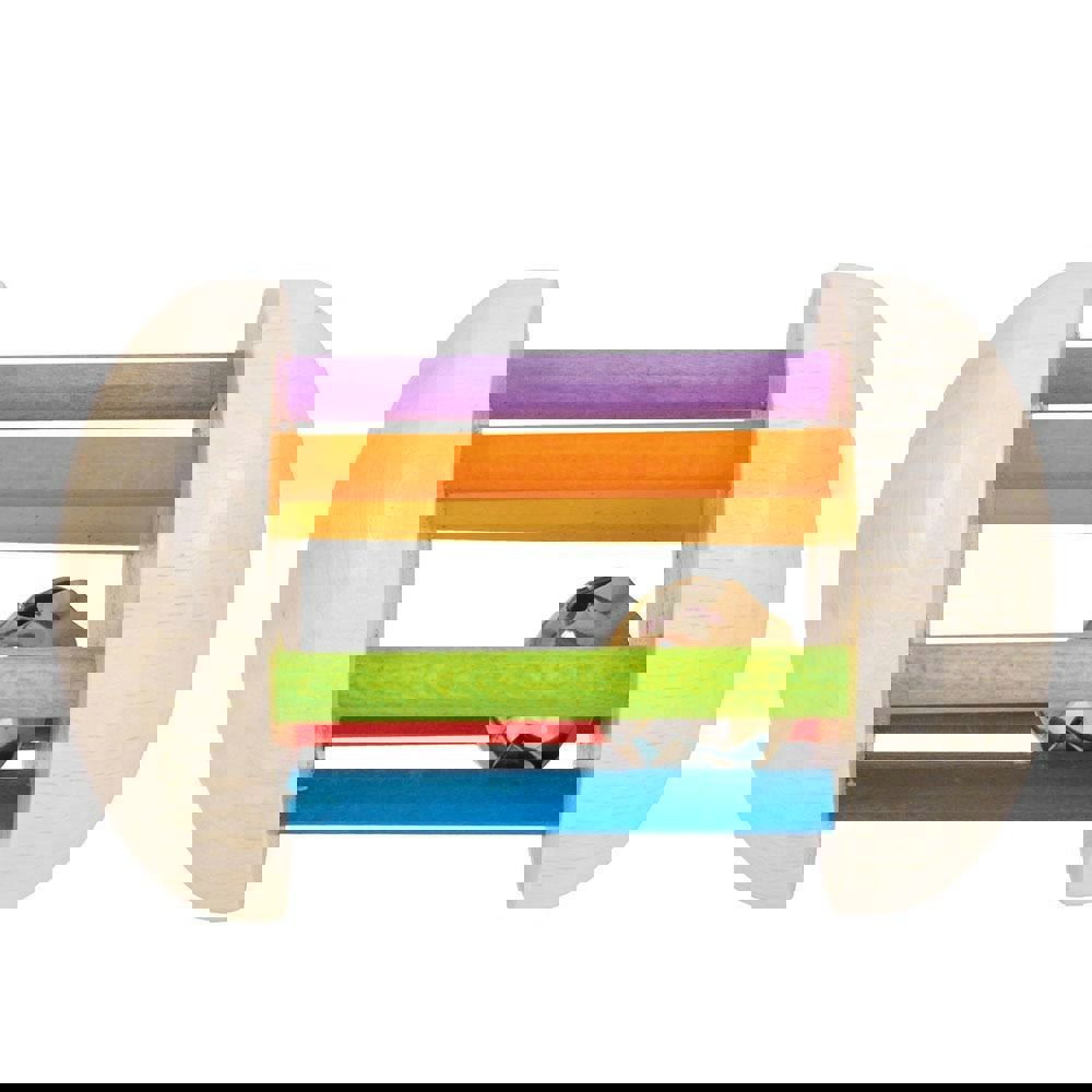 Rainbow Rattle