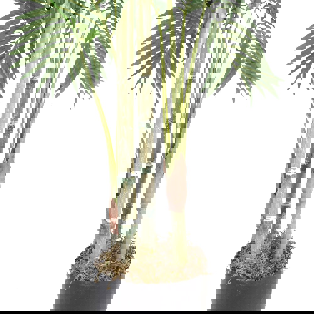 Leaf 120cm (4ft) Premium Artificial Areca Palm with pot