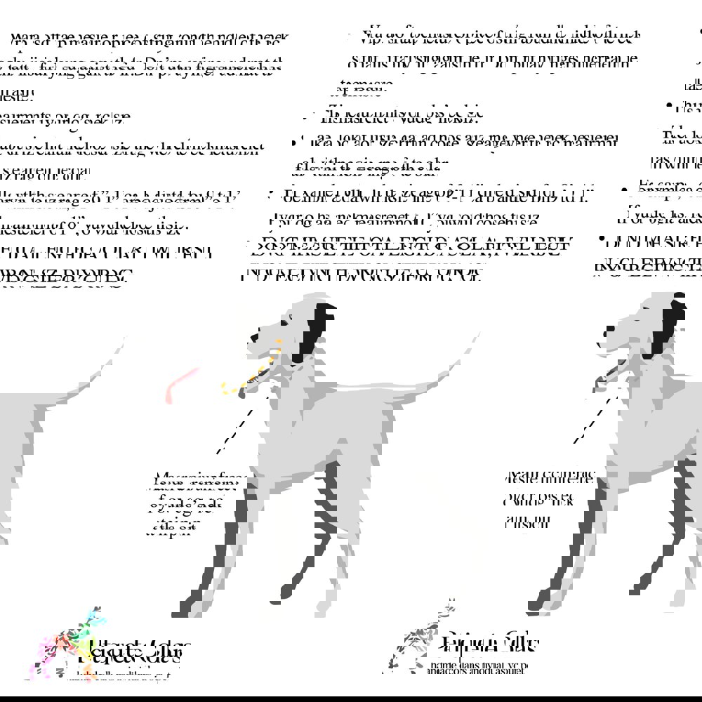 Collar Size Guide