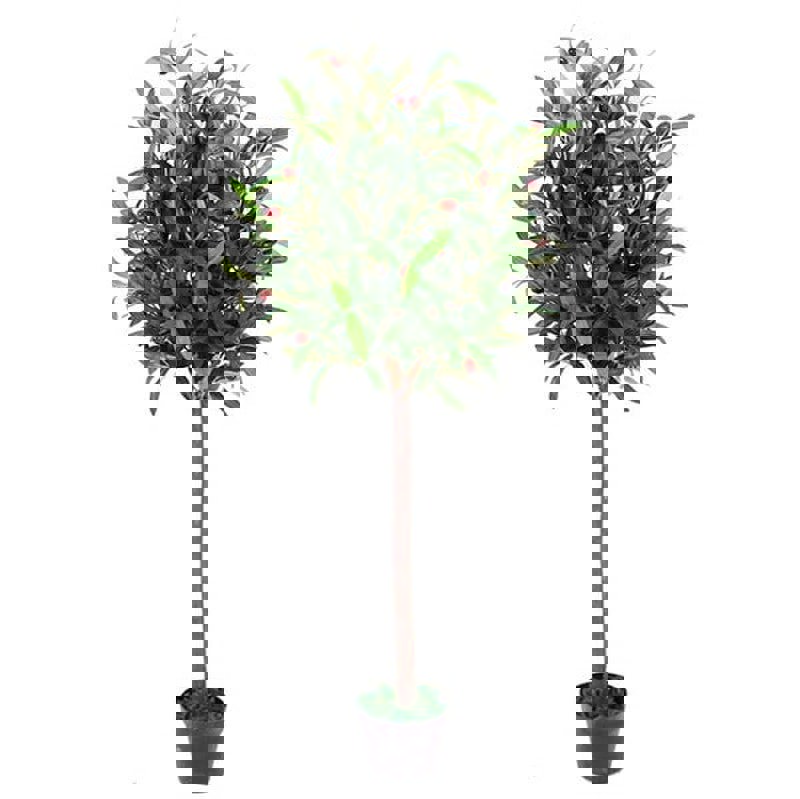 Leaf 90cm Artificial Olive Bay Style Topiary Fruit Tree