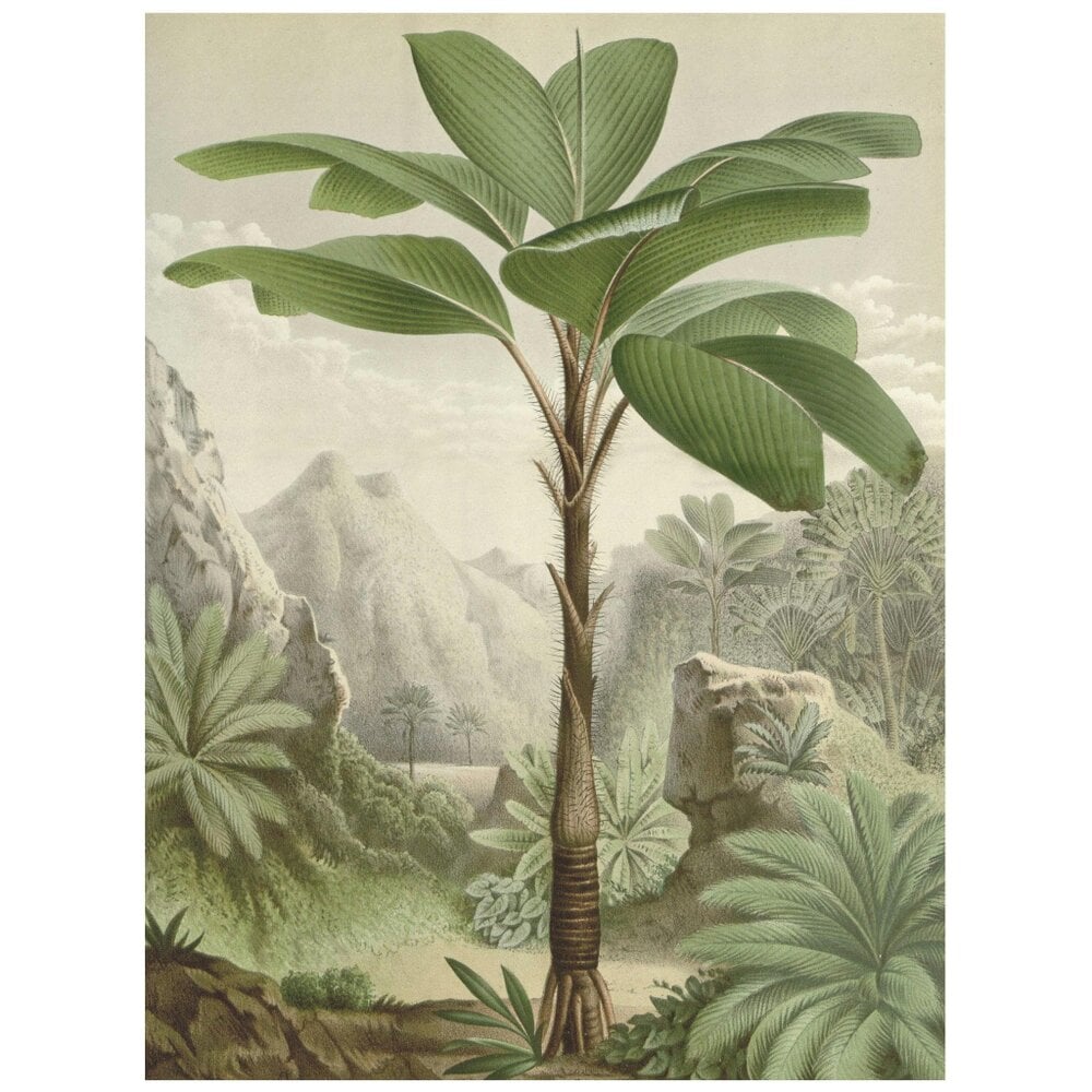Love Frankie Tropical Seychelles Palm Tree Wall Hanging
