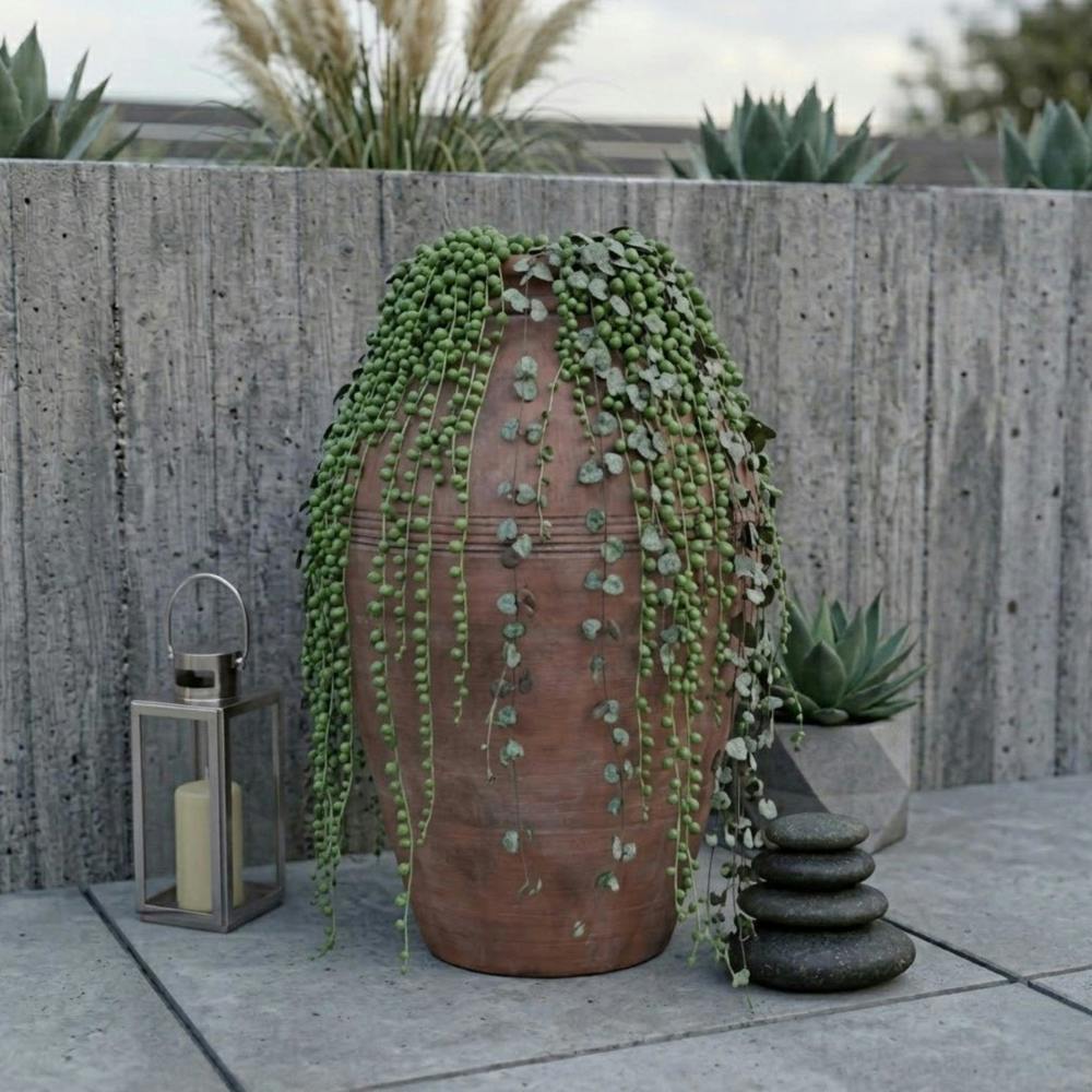 Garden Greatness Antique Terracotta Olive Pot