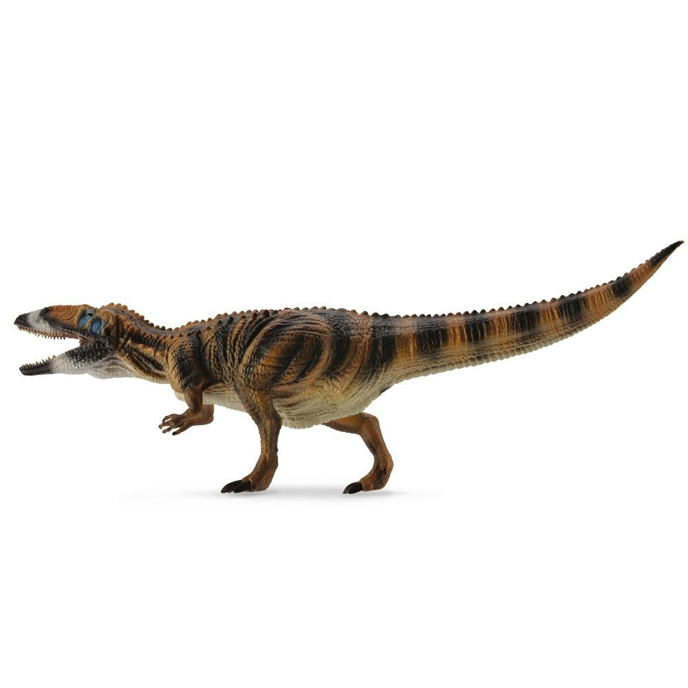 CollectA Carcharodontosaurus Dinosaur Toy - Hand-Painted And Designed By Experts