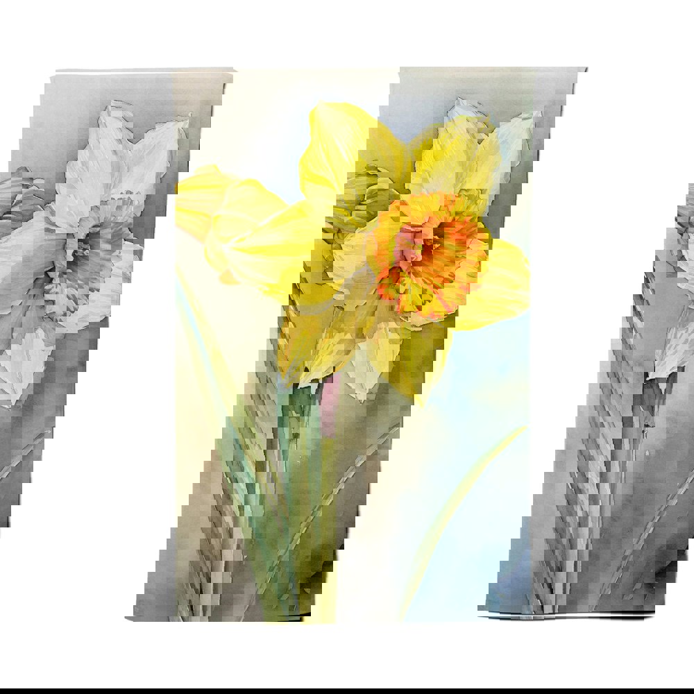 Warren Reed Daffodil Watercolour Tea Towel
