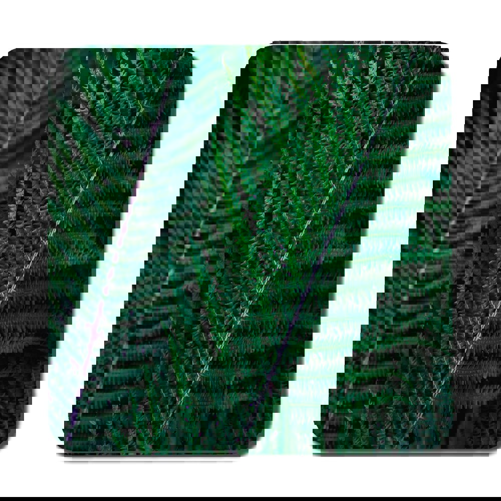 Benjamin Tate Design green leaves, abstract flora texture (Coaster)
