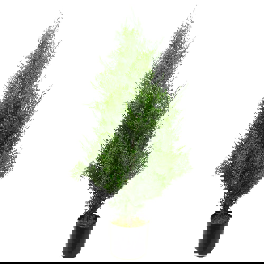 Leaf 90cm Artificial Cypress Topiary