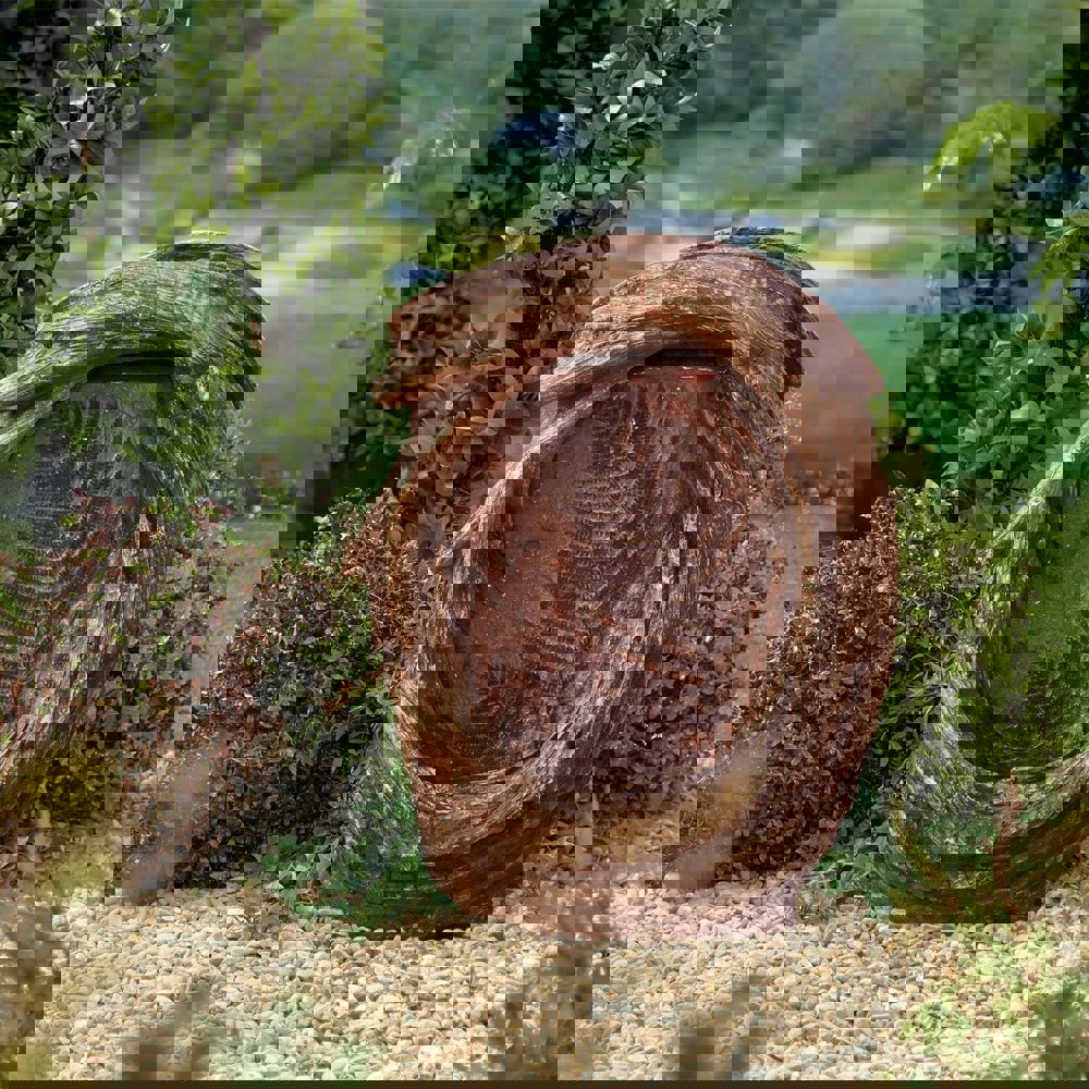 Tranquillity Water Features Forest Fern with Lights Wood Effect Water Feature