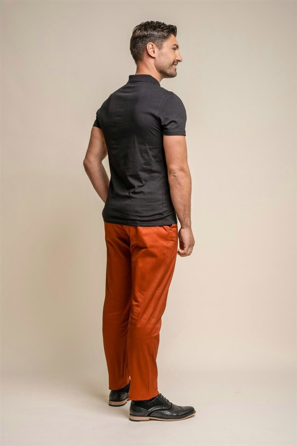 Dakota Rust Chino Back