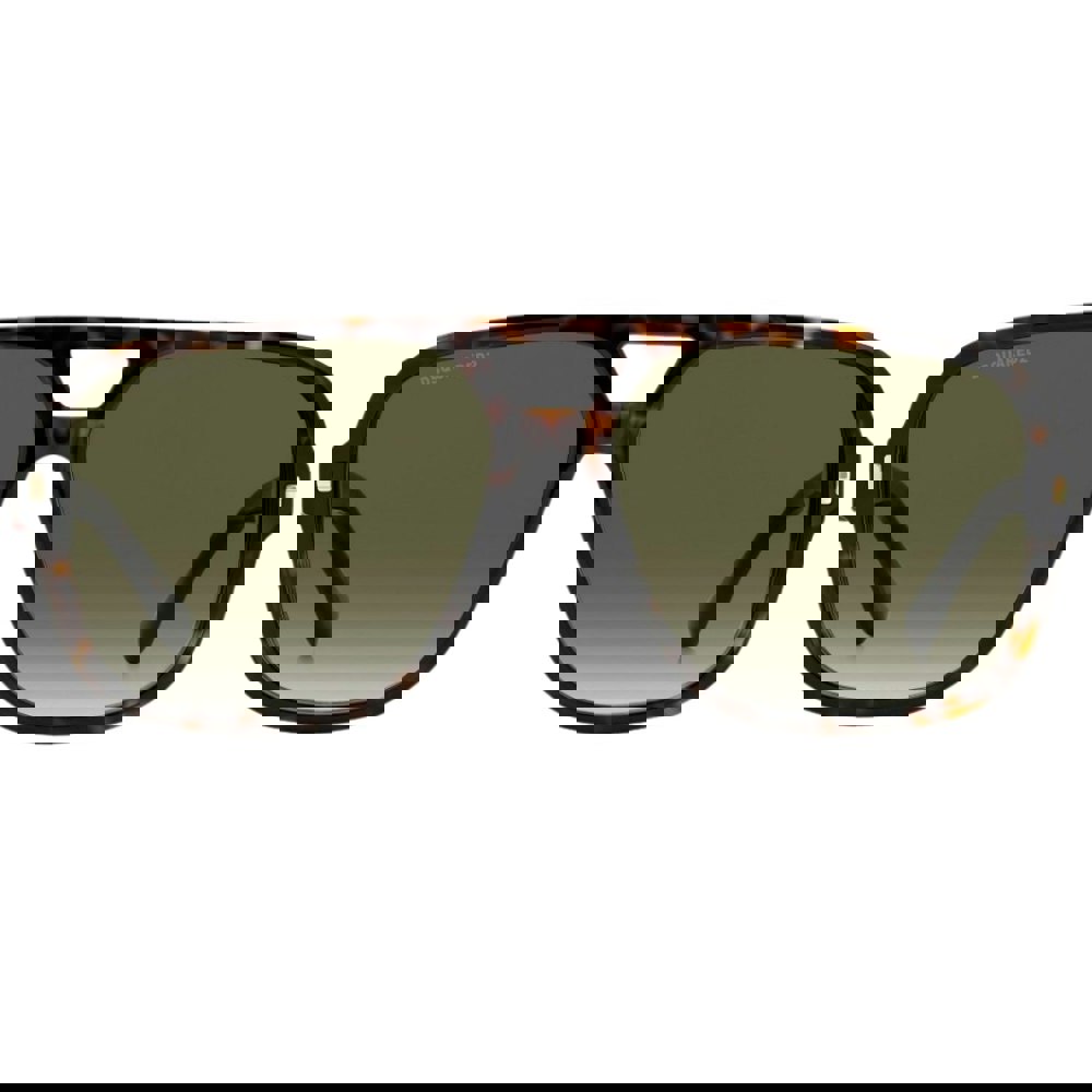 Dsquared2 Green Lens Havana Brown Sunglasses