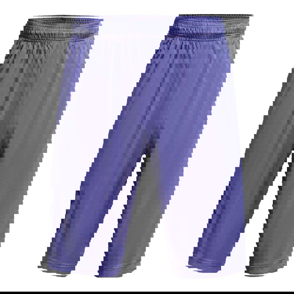 Under Armour Mens Tech Graphic Shorts - Purple
