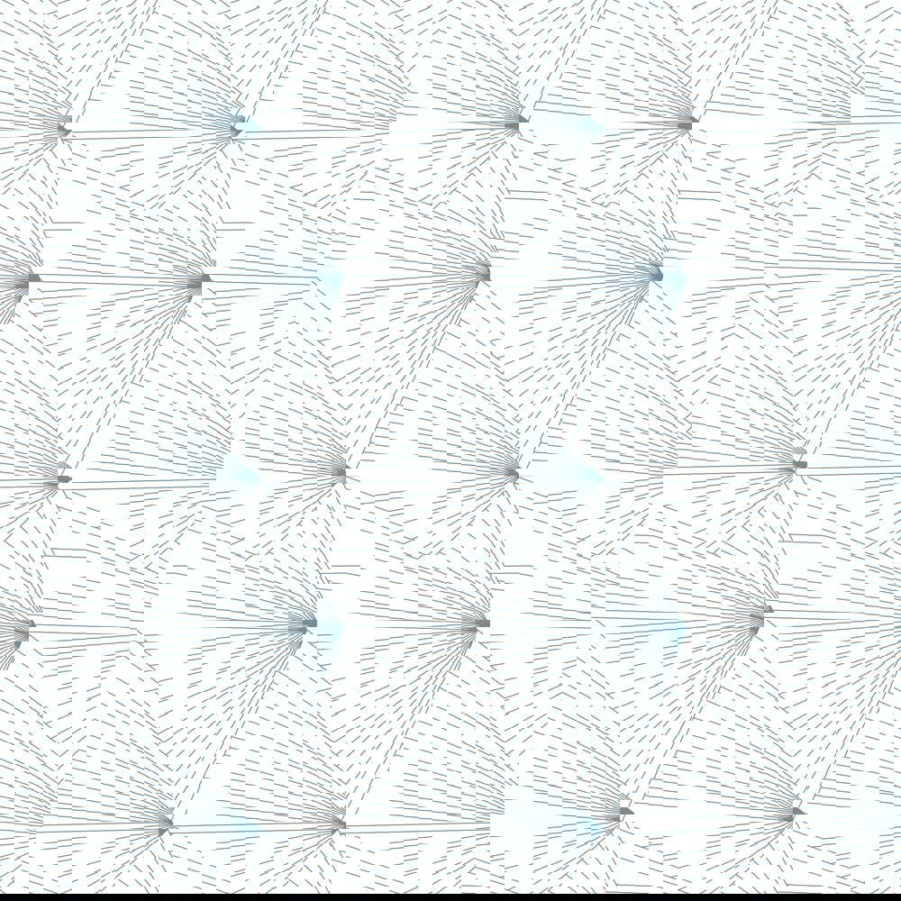 Fan French blue / white