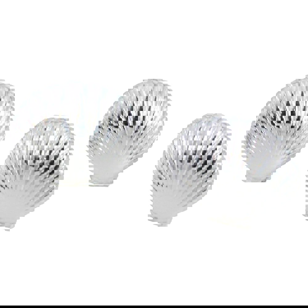 Scallop Shell Sterling Silver Stud Earrings - Reeves & Reeves