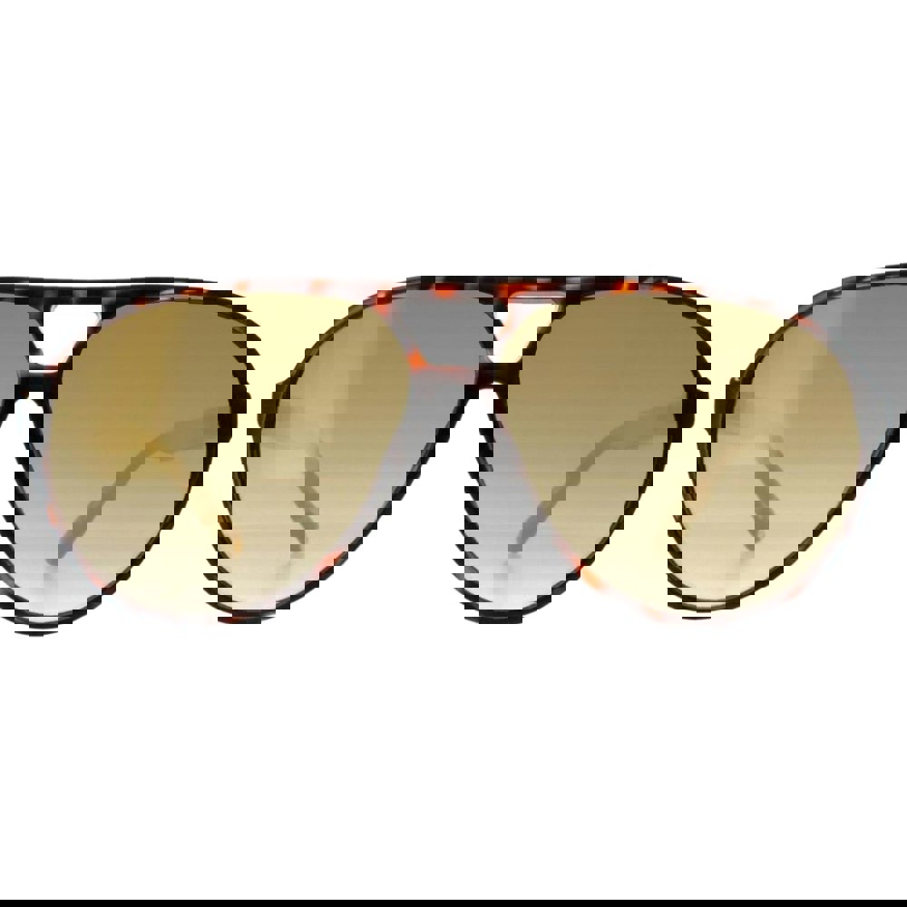 Guess Brown Lens Dark Havana Brown Sunglasses