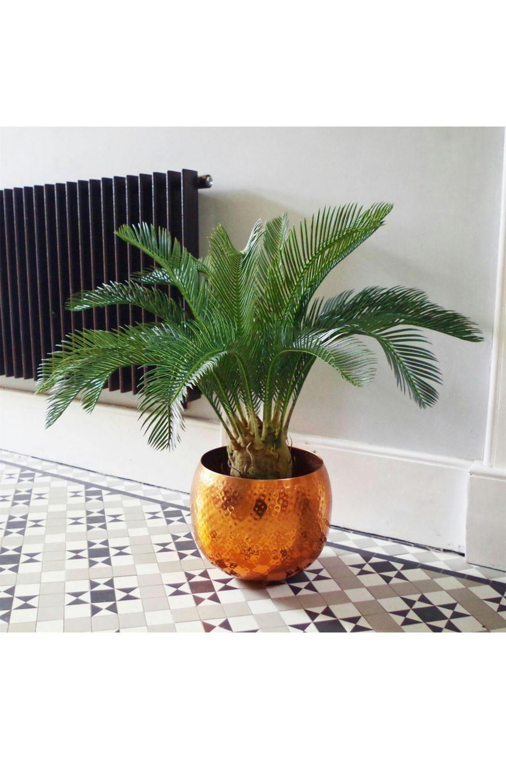 Dyzi 80cm Artificial Cycas Tree with Lifelike Trunk and Green Fronds