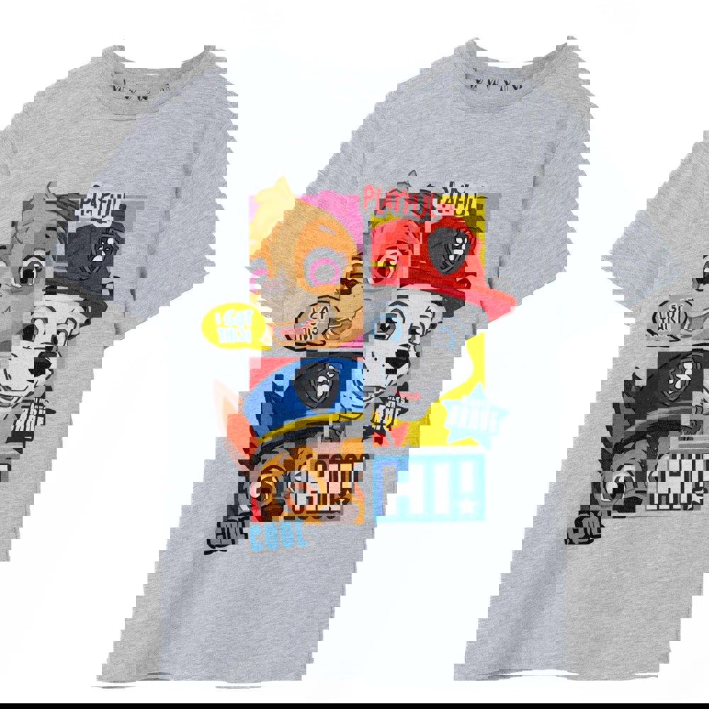 Paw Patrol Boys Peekaboo T-Shirt - Grey Marl