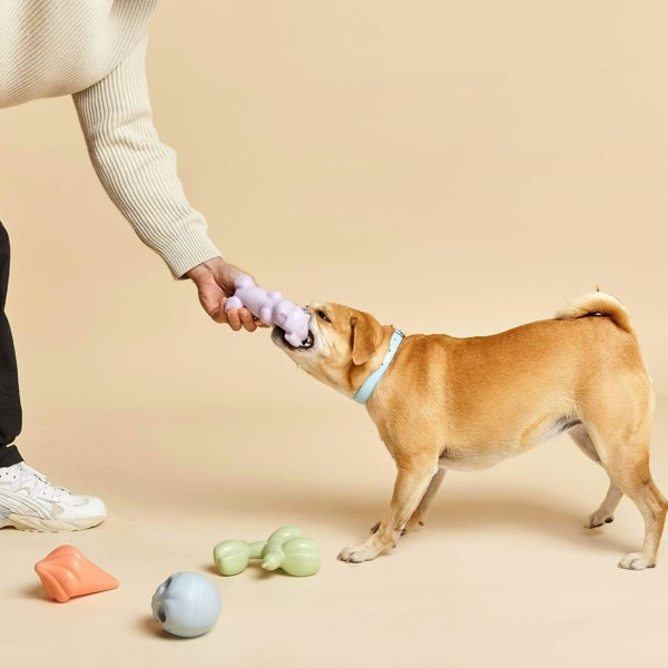 Squeaky Dog Toy Box Set in Action