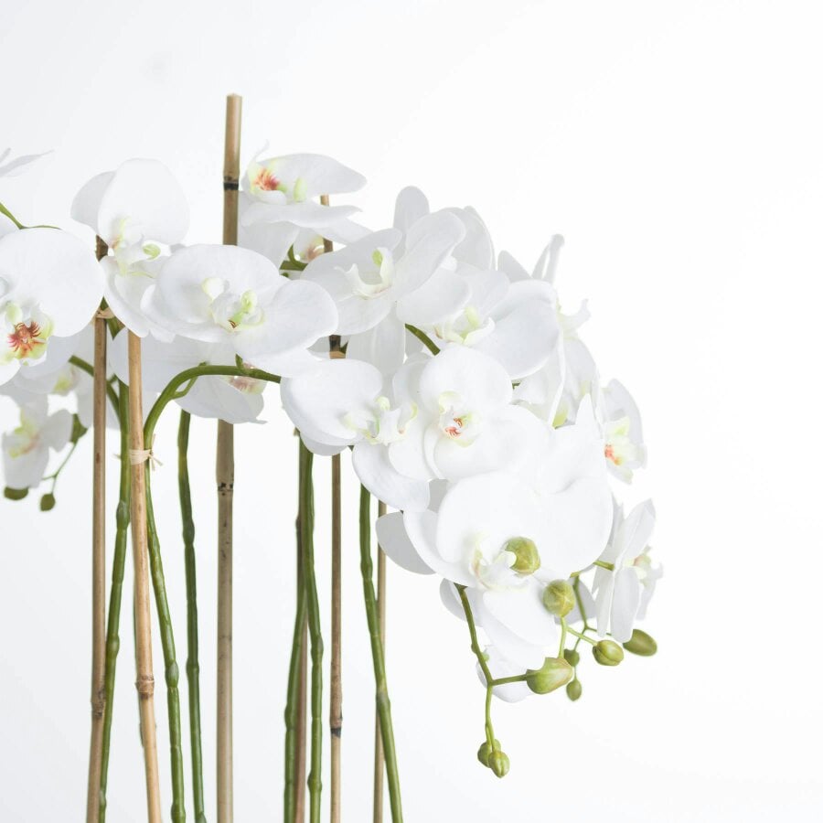 Hill Interiors Large Orchid In Glass Pot - White
