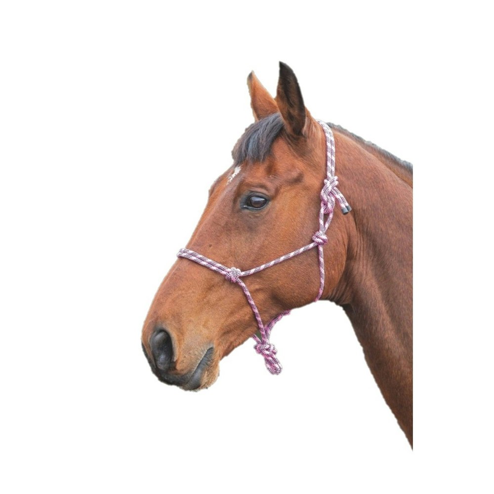 Shires Rope Horse Headcollar - Pink/Black