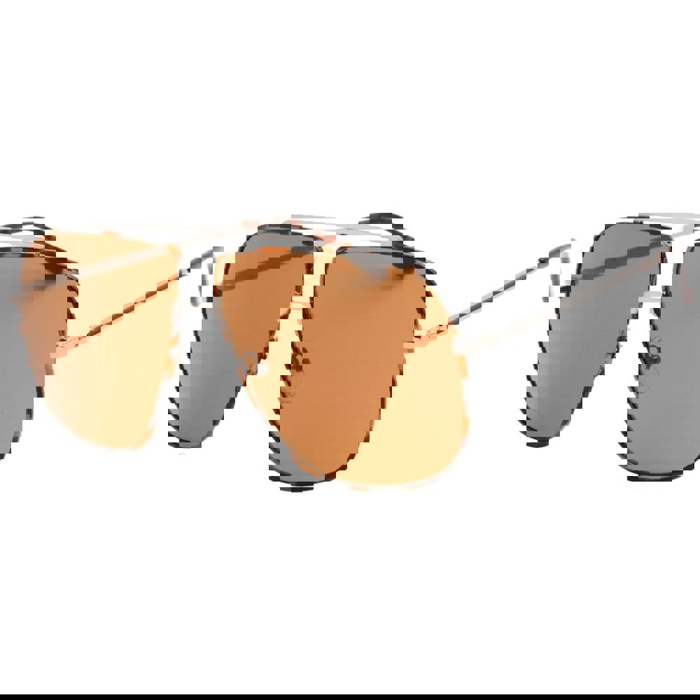 Guess Brown Lens Shiny Light Ruthenium Silver Sunglasses One Size