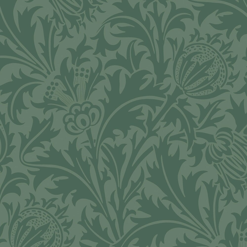 Hoopla Walls Thistle Damask - Forest 10m Wallpaper