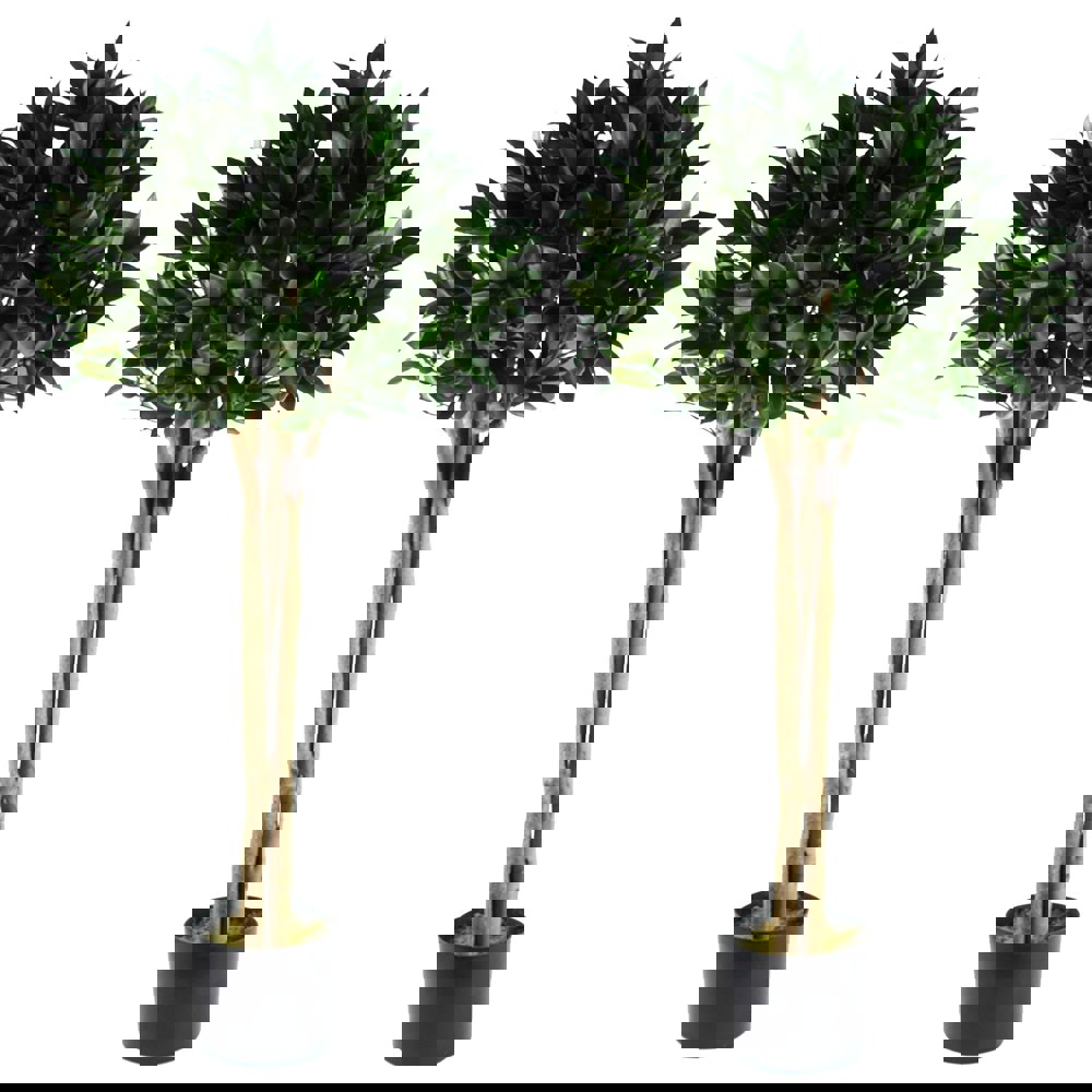 Leaf 120cm Pair of Bay Trees Laurel UV Resistant Outdoor Topiary