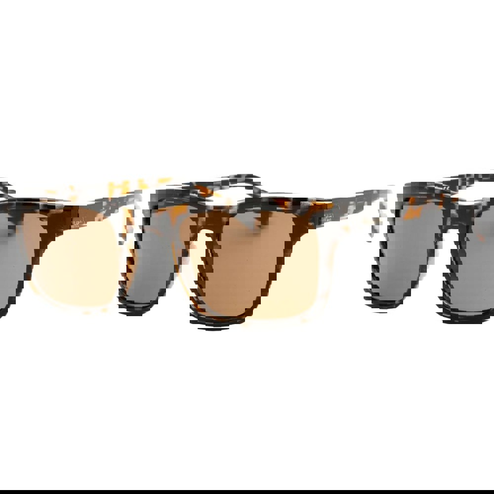 Calvin Klein Brown Lens Tortoise Brown Sunglasses
