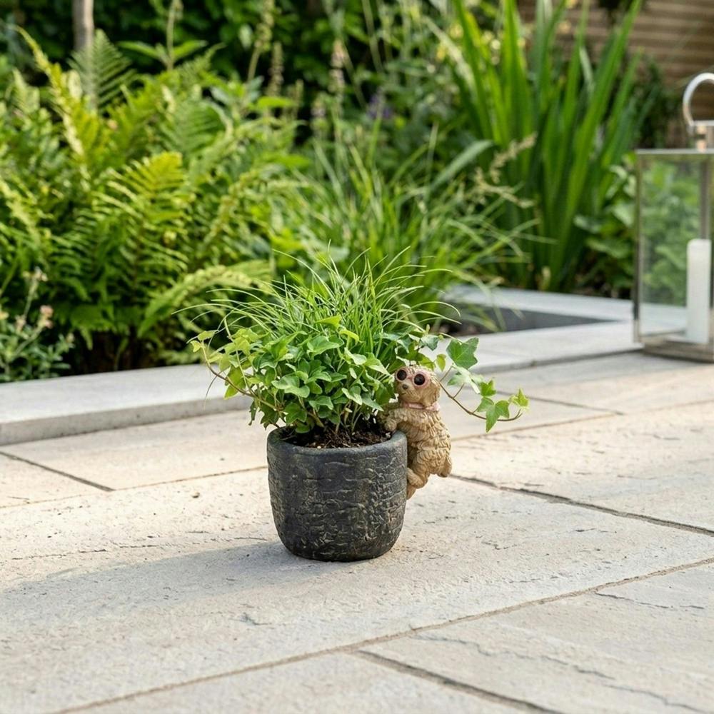 Garden Greatness Playful Dog Sunglass Plant Pot Hanger
