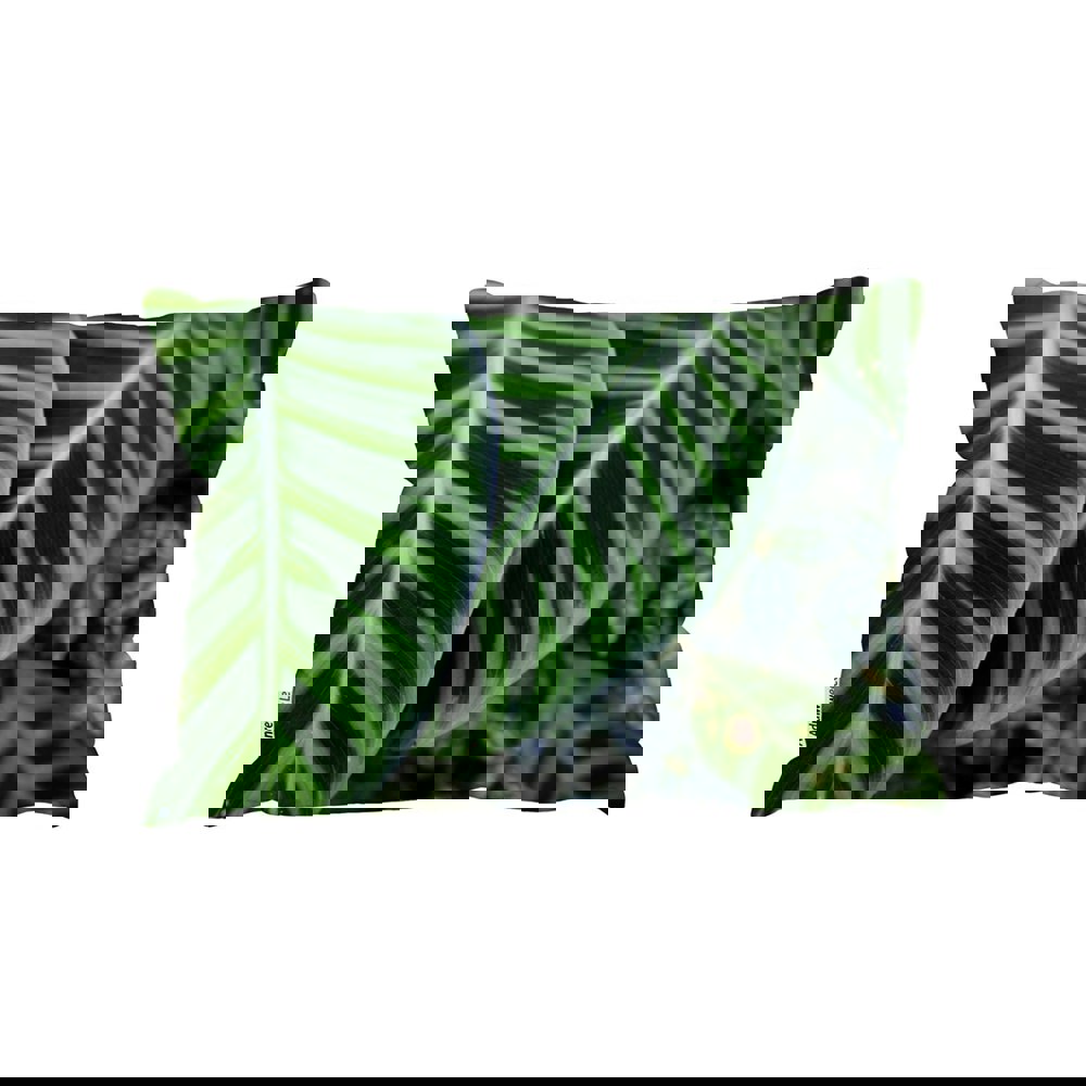 Benjamin Tate Design Green Leaves With White And Yellow Structure In Exotic Jungle Setting (Outdoor Cushion)