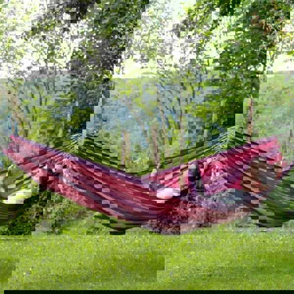 Amazonas Tahiti Candy Hammock