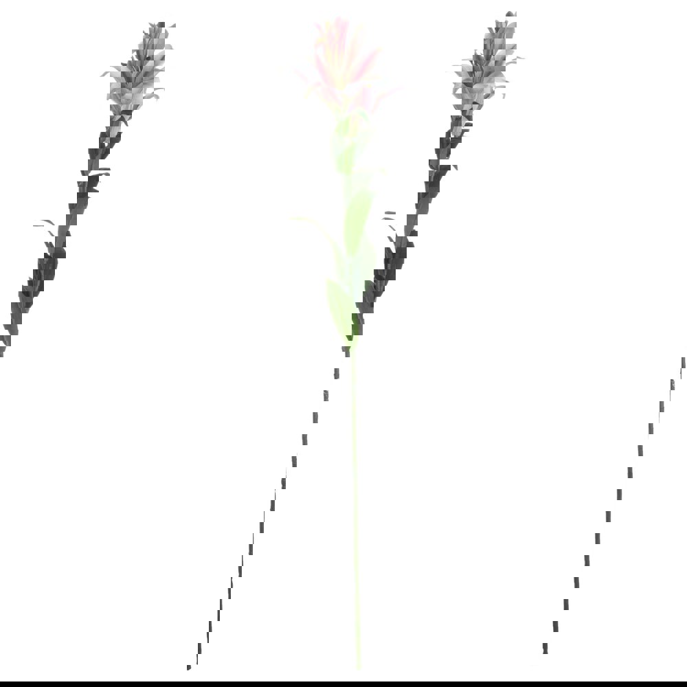 Hill Interiors Stargazer Lily Artificial Flower (Pack of 1) - White/Pink