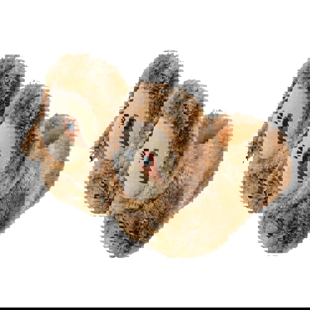 t4option1_0