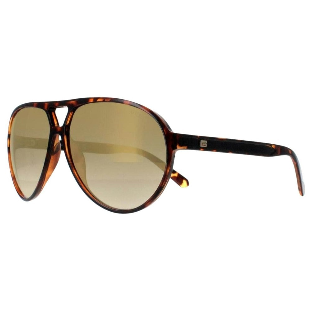 Guess Brown Lens Dark Havana Brown Sunglasses