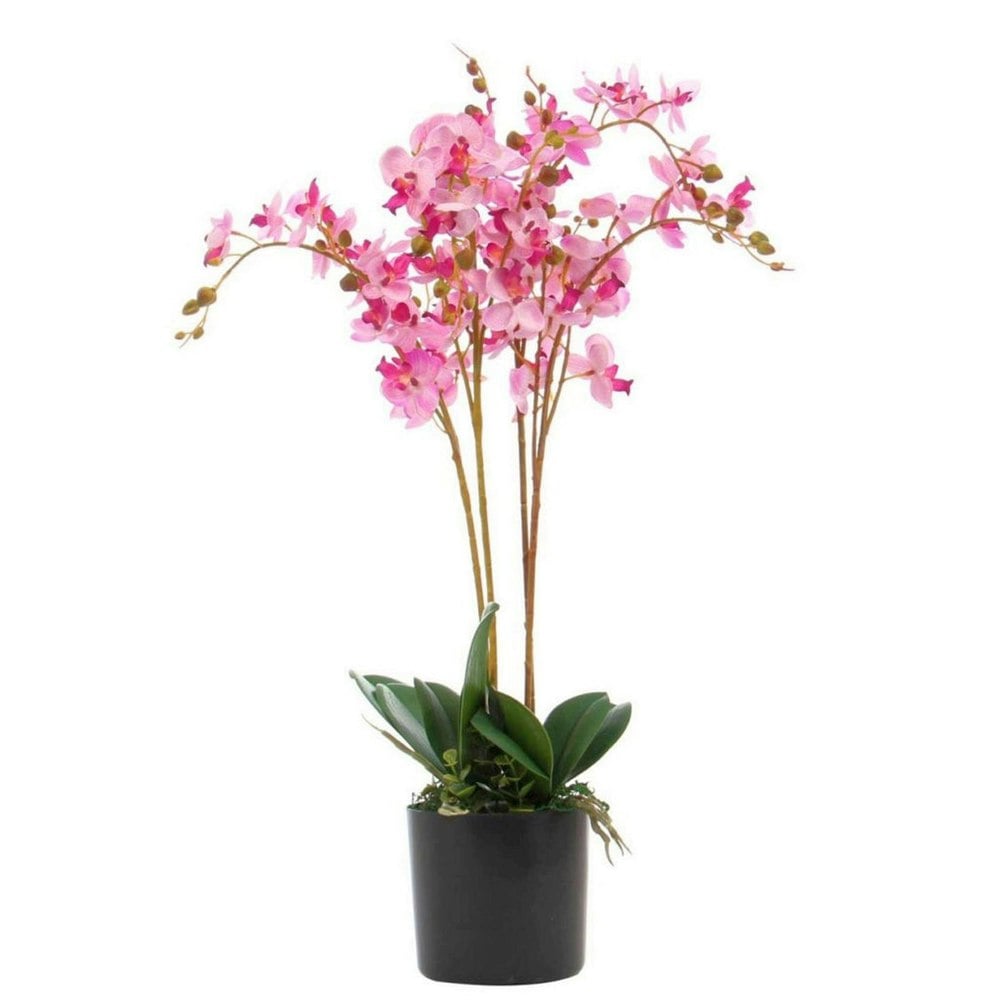 Leaf 60cm Leaf Design UK Realistic Artificial Orchid Flower Display in Pot