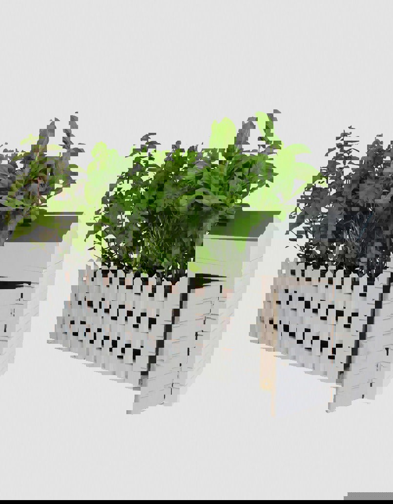 Indoor Allotment Planter