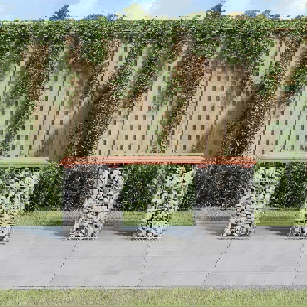 Berkfield Garden Bench Gabion Design 103x31x42 cm Solid Wood Douglas