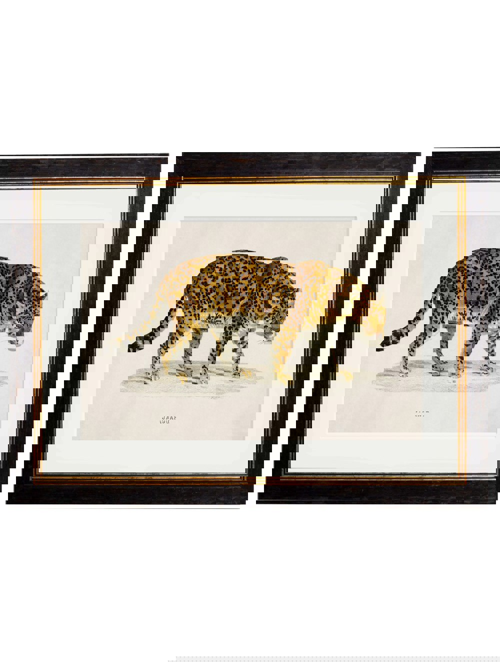 Exceptional Art c.1836 Jaguar