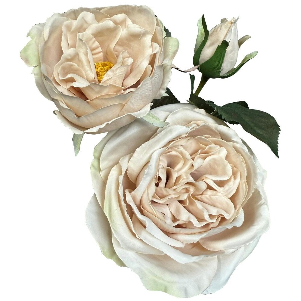 Wyld Haus Set of 3 Artificial Flowers Soft Blush Charity Rose Stems