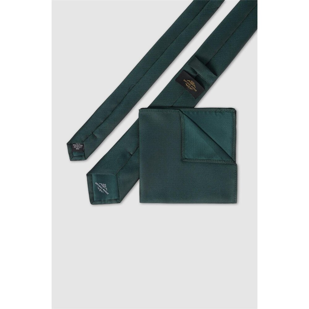 Antique Rogue Green Textured Tie