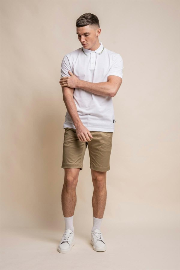 Dakota stone chino shorts front