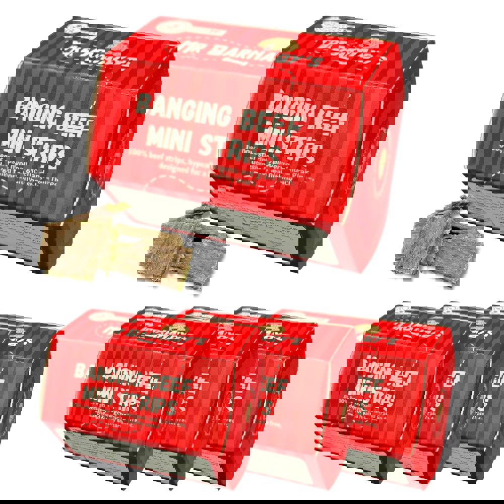 Mr Barnaby's Banging Beef Mini Strips Dog Treats (Pack of 4)