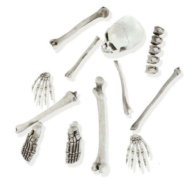 Garden Greatness Halloween Skeleton Bones In A Bag